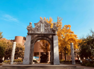 中国农业大学